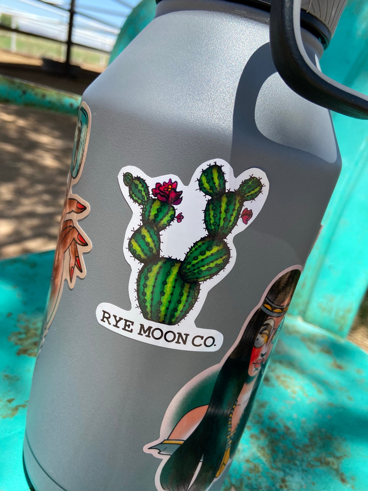 Cactus Sticker